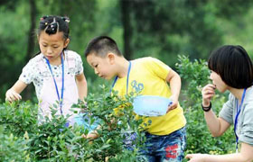 六一儿童节怎么过？带孩子去采摘瓜果