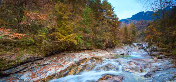 秦岭最美秋天--鸡窝子、鳌山脚下、黄柏塬、黎坪、平河梁